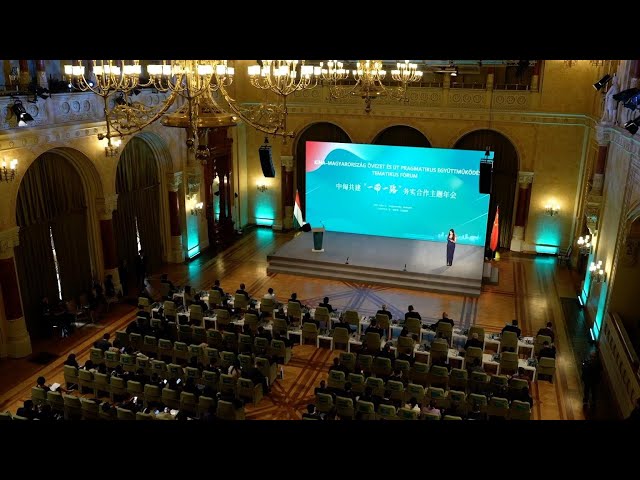 ⁣GLOBALink | Multiple achievements made in China-Hungary BRI conference