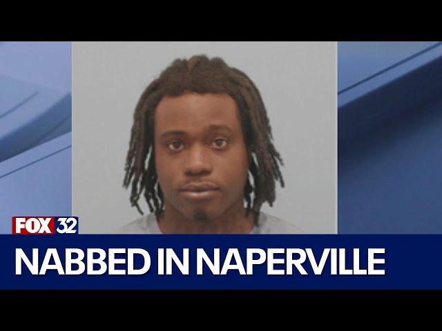 Naperville police nab alleged cocaine dealer
