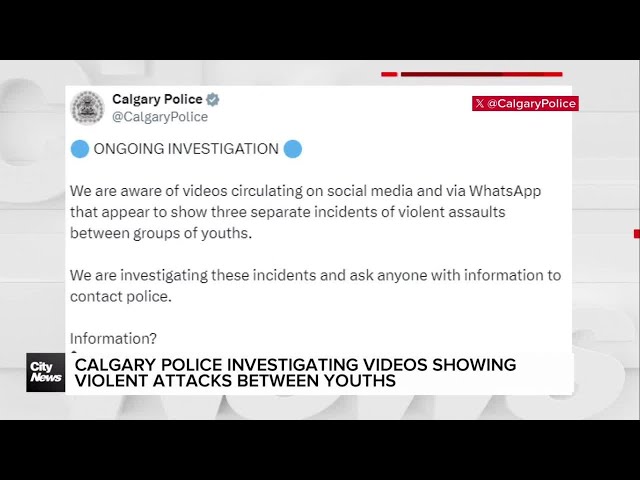 ⁣Calgary police investigating videos showing violent attacks between youths