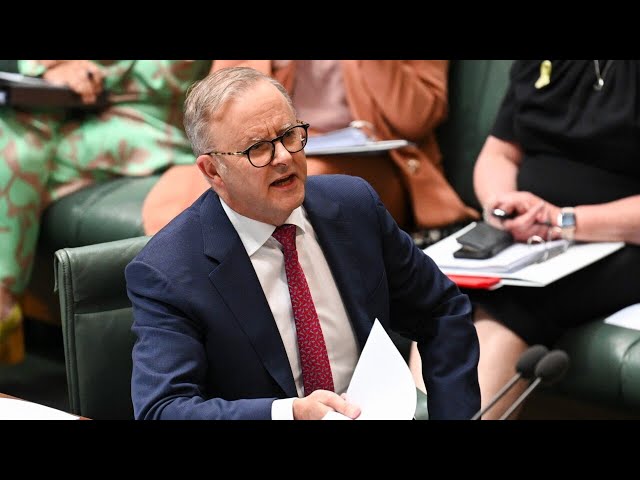 ⁣Labor’s 2024 budget an ‘expression’ of ‘priorities’ ahead of next election