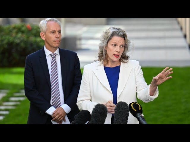 ⁣'Incompetence and inability': Andrew Giles and Clare O'Neil causing govt 'haemor
