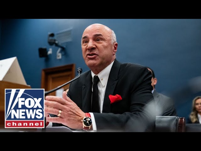 ⁣Kevin O’Leary to anti-Israel protestors: This will come back to haunt you