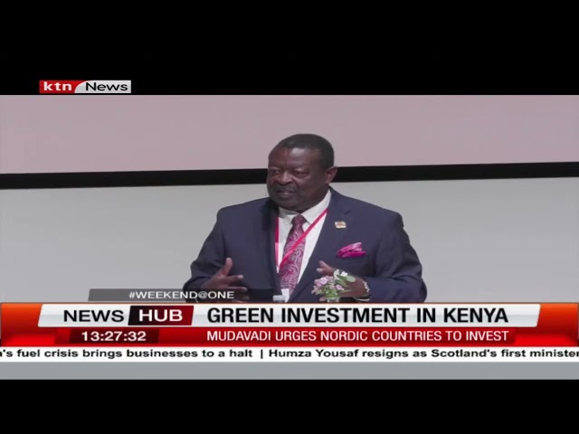Mudavadi has underscored the vast opportunities available in Africa for green investments