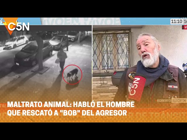 MALTRATO ANIMAL: HABLÓ el HOMBRE que RESCATÓ A "BOB" DEL AGRESOR