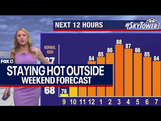 ⁣Tampa weather | Staying hot this weekend