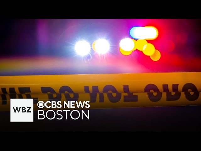 ⁣Taunton man found shot to death in shed, police say