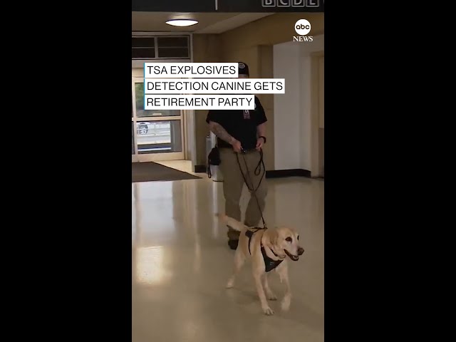 ⁣TSA explosives detection canine gets retirement party