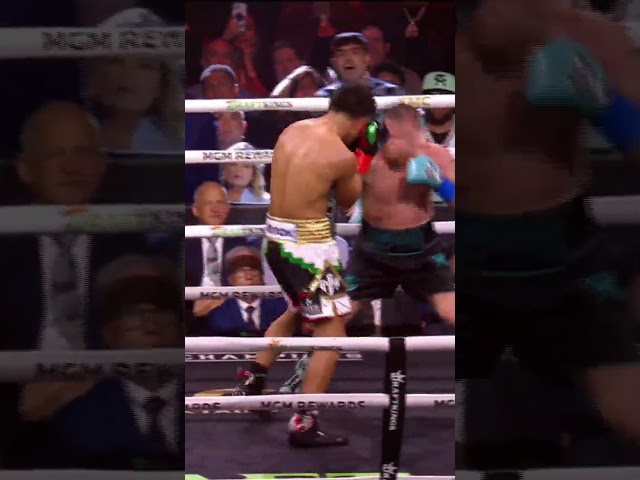 ¡ESTO ES MÉXICO!  Guerra en el ring entre Canelo y Munguía #shorts