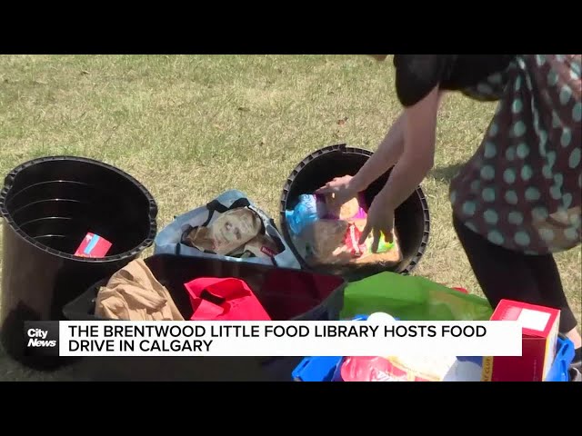 ⁣The Brentwood Little Food Library hosts food drive in Calgary