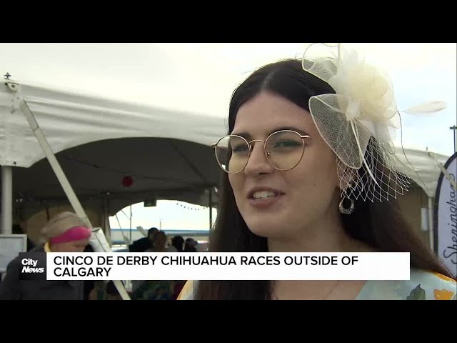 Cinco de Derby Chihuahua Races outside of Calgary