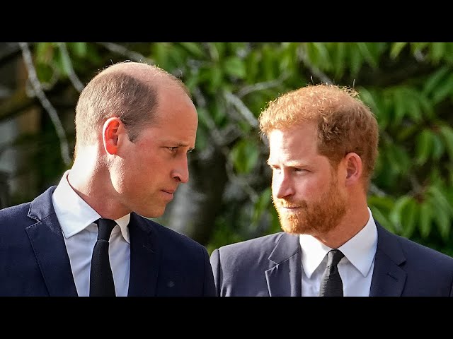 ⁣‘Trust has been broken’: Prince William ‘not interested' in reconciling with Prince Harry