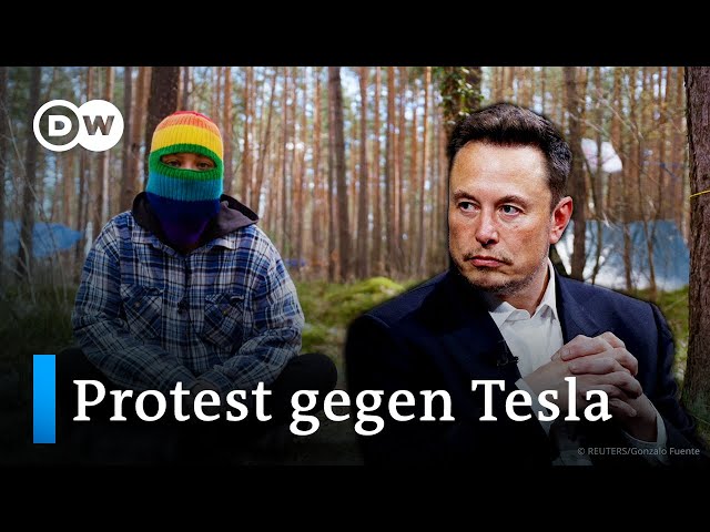 ⁣Streit um Elon Musks Tesla-Werk bei Berlin | DW Reporter