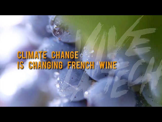 ⁣Vive la Tech: Climate change is changing French wine