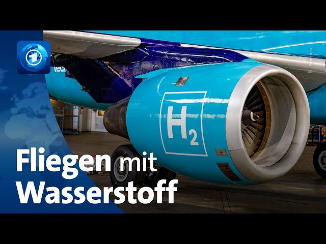 ⁣Wasserstoff-Flugzeuge: Projektarbeit bei Airbus