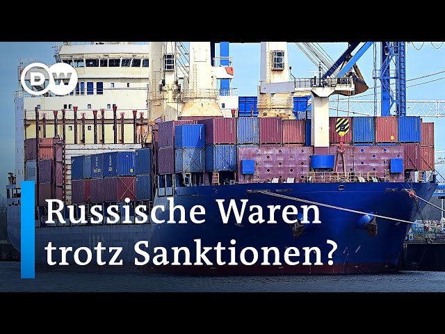 ⁣Handel mit Russland über Zentralasien: Wie kann die EU dagegen vorgehen?  | DW Nachrichten