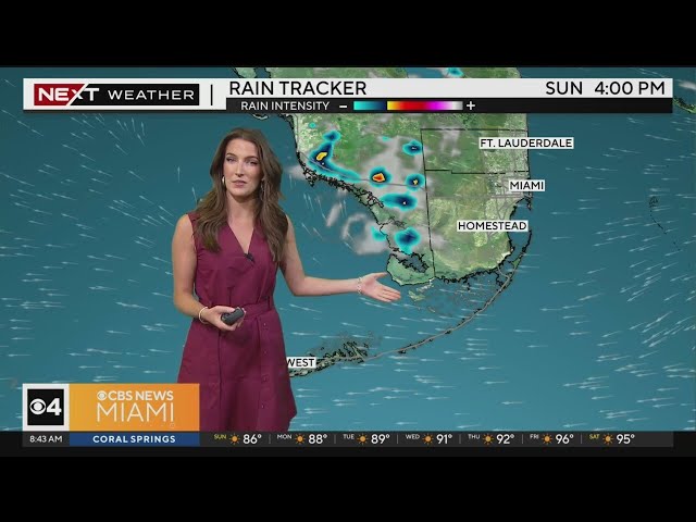 South Florida 8 a.m. Weather Forecast 5/5/2024