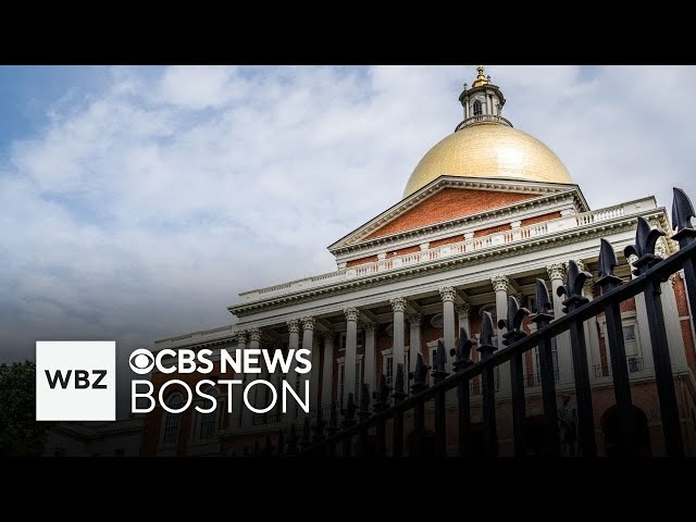 ⁣Massachusetts House Speaker Ron Mariano on taxes, Steward health and more