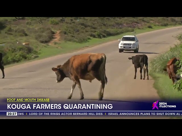 ⁣Foot and Mouth Disease | Kouga farmers quarantining