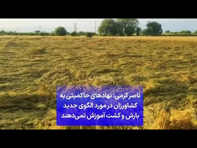 ⁣ناصر کرمی: نهادهای حاکمیتی به کشاورزان در مورد الگوی جدید بارش و کشت آموزش نمی‌دهند