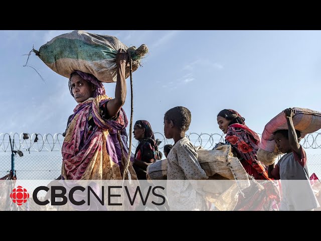 'People are eating leaves': UN agencies warn of starvation in Sudan