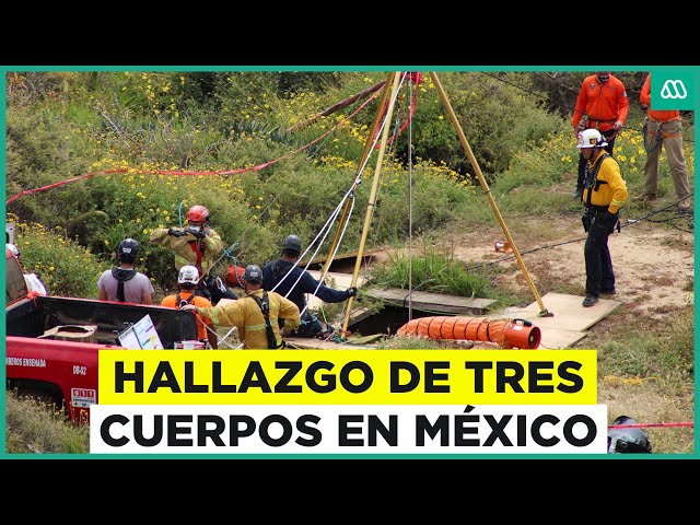 ⁣Hallazgo de tres cuerpos en un pozo en México: Restos serían de surfistas desaparecidos