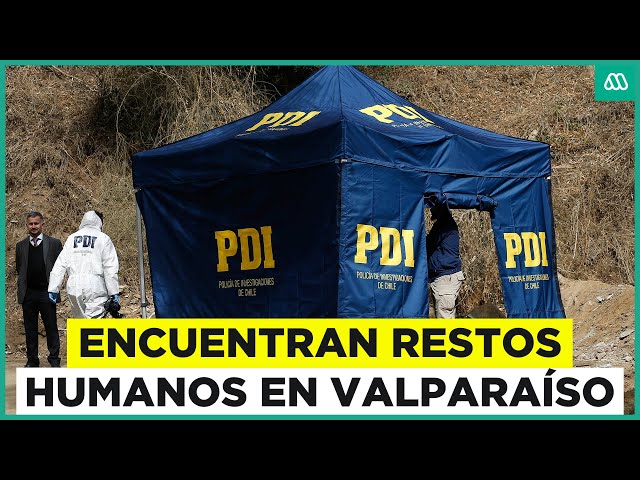 ⁣Encuentran restos humanos cercenados en Valparaíso