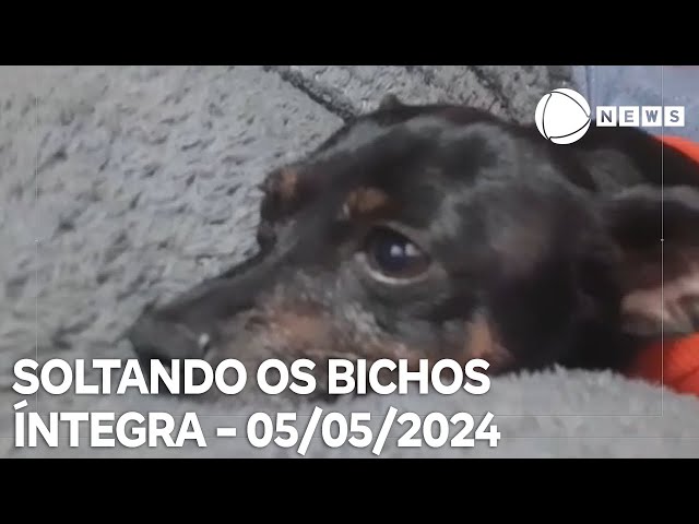 Soltando os Bichos - 05/05/2024