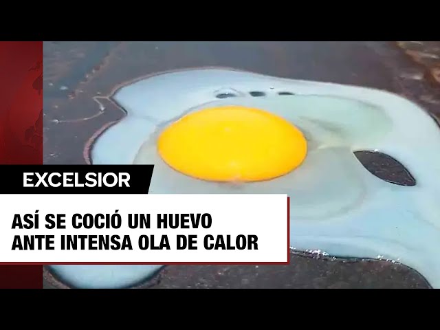 ⁣Así se coció un huevo en el pavimento ante intensa ola de calor en Veracruz
