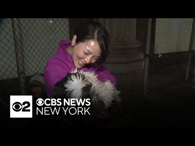 ⁣Family reunited with dog they thought was stolen in Central Park
