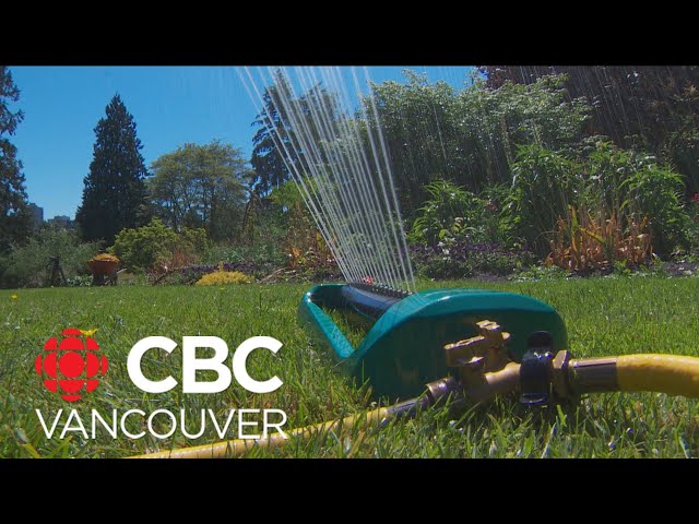 Vancouver walking tour highlights alternatives to traditional lawns