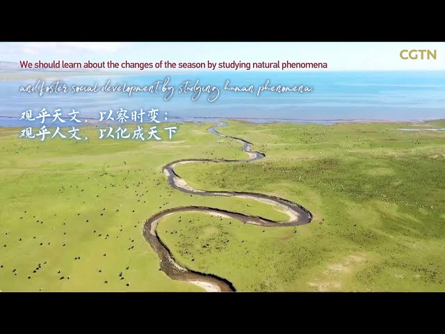 ⁣How Xi Jinping promotes the ecological protection of Qinghai Lake
