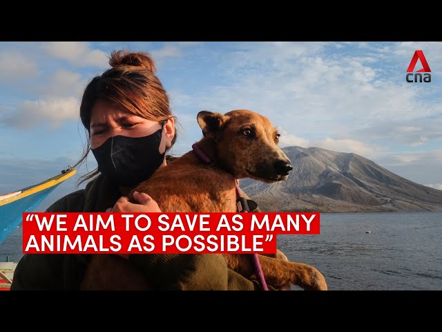 ⁣Volunteers braving volcano eruptions to save pets in Indonesia