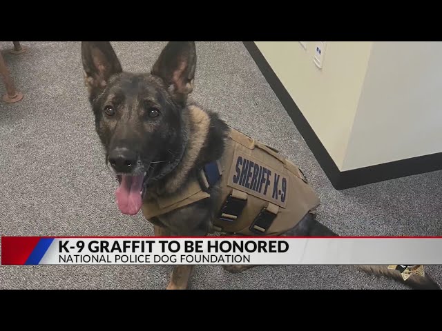 ⁣Jefferson County K-9 Graffit to be honored in Washington D.C. memorial