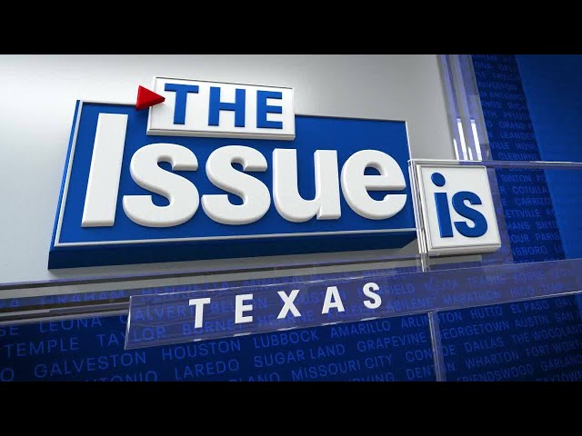 Texas: The Issue Is - DEI
