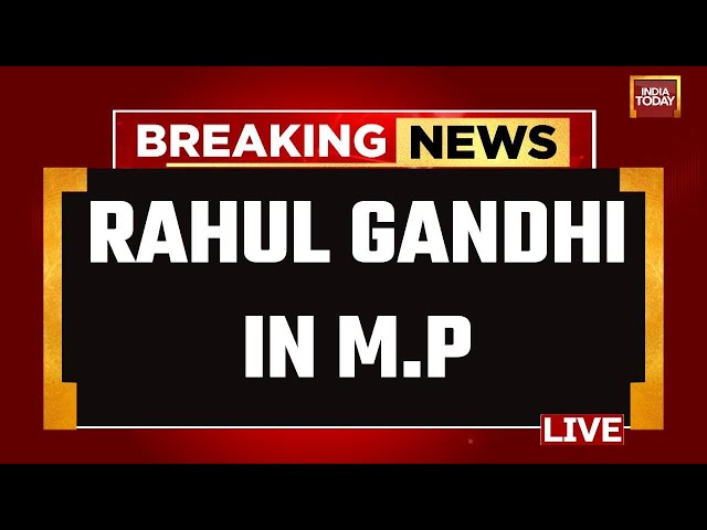⁣Rahul Gandhi LIVE: Rahul Gandhi's Mega Address In Madhya Pradesh | Rahul Gandhi Speech LIVE