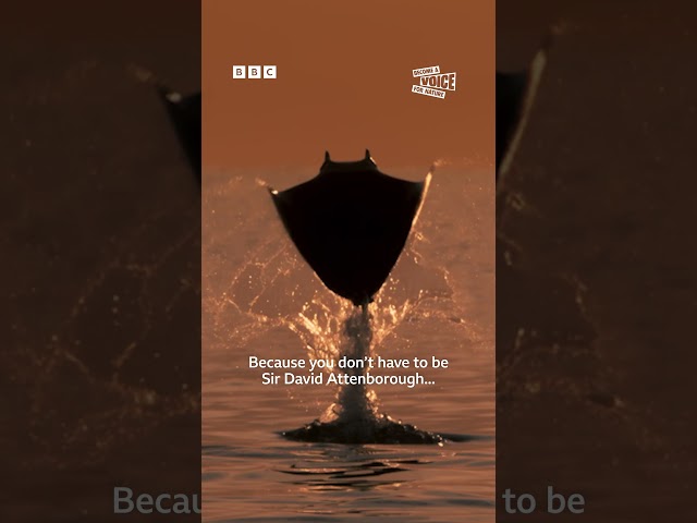 ⁣We’ve teamed with BBC Children in Need for the special Planet Earth III: Narrated by Kids  - BBC