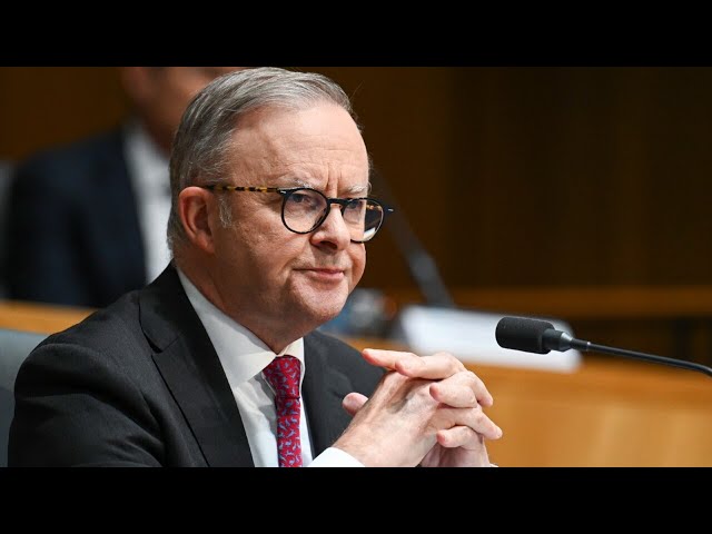 ⁣‘Typically underwhelming’: Albanese slammed over response to domestic violence