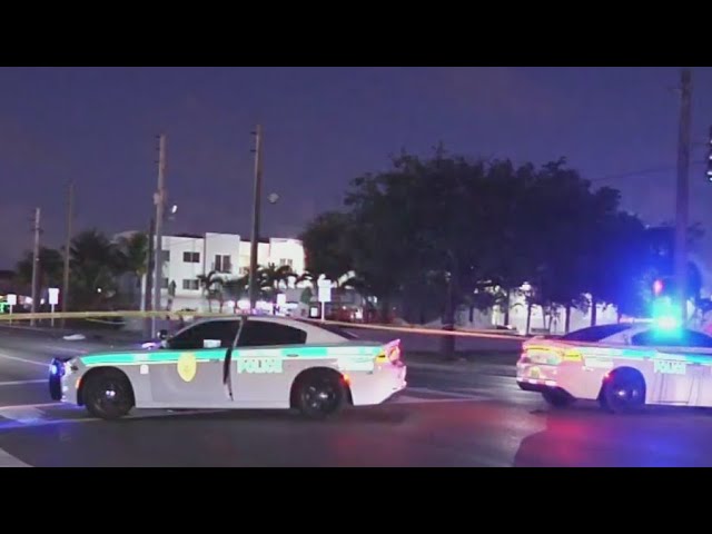 ⁣Witnesses horrified by hit and run crash that killed woman in Golden Glades