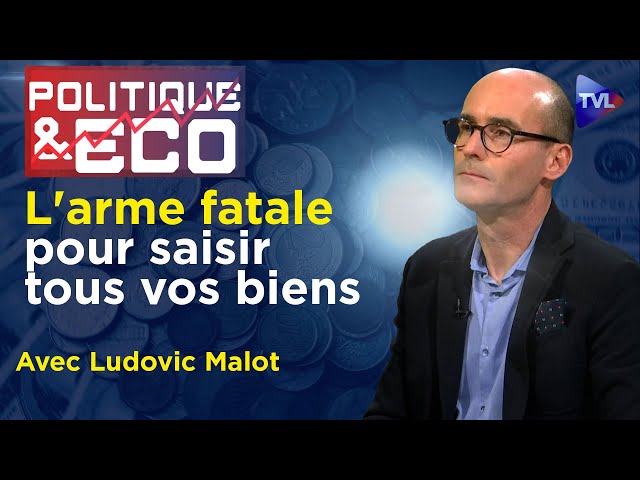 Dépossession planétaire : urgence d'une monnaie Or et Argent - Poleco N°435 avec Ludovic Malot