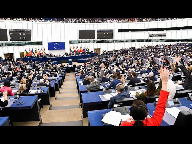 ⁣Enthüllt: Millioneneinnahmen der EU-Abgeordneten durch Nebenjobs