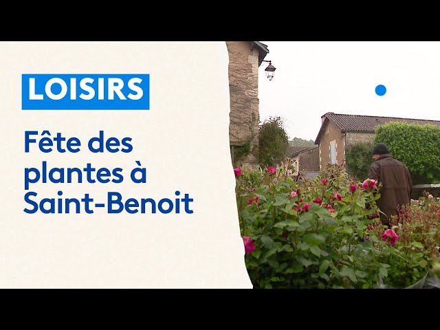 ⁣La fête des plantes à Saint-Benoit