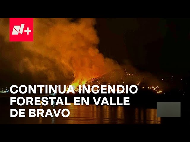 ⁣Incendios forestales en Valle de Bravo cumplen 18 horas - Despierta