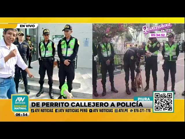 ⁣Piura: Policía de Catacaos rescata a perrito y ahora patrullará las calles