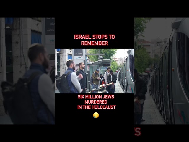 ⁣Israelis Stop to Remember Victims of the Holocaust #shorts