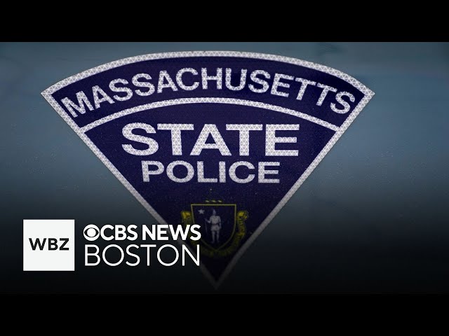 ⁣Bear dragged Massachusetts crash victim's body from car, investigators believe