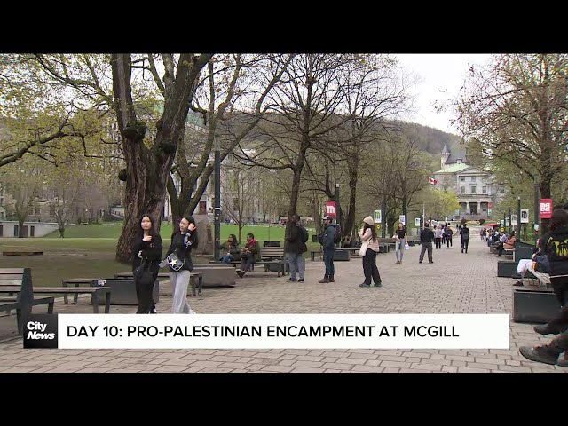 ⁣Pro-Palestinian protesters started talks with McGill University