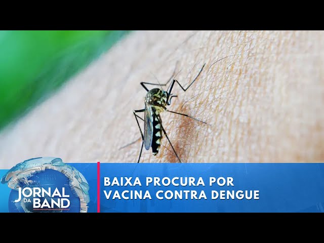 ⁣Mesmo com 4,5 milhões de casos de dengue no país, vacinação segue em baixa | Jornal da Band