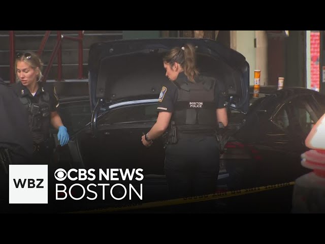⁣Car crashes into Fenway Park, driver to be charged