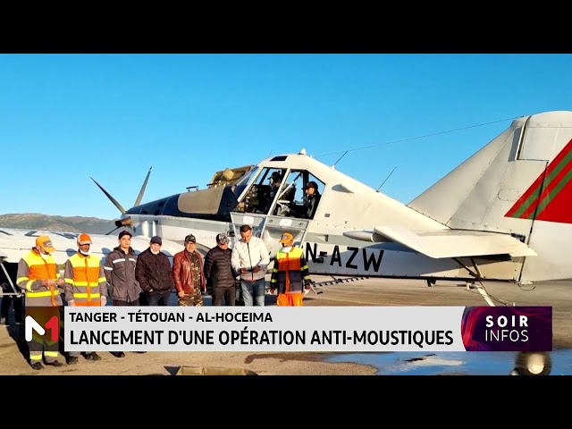 ⁣Tanger-Tétouan-Al Hoceima : lancement d´une opération anti-moustiques