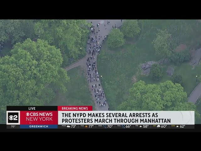 Protesters attempt to make their way to the Met Gala through Central Park